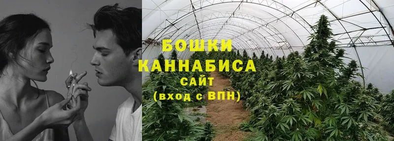 Конопля индика  купить закладку  Игра 